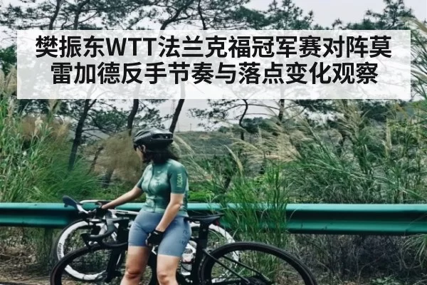 樊振东WTT法兰克福冠军赛对阵莫雷加德反手节奏与落点变化观察
